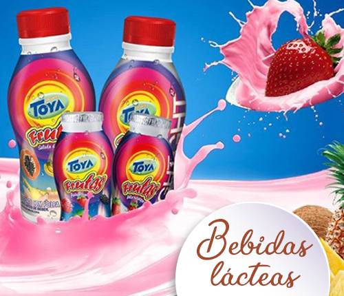 Bebida Láctea Toya