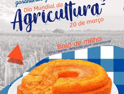 Bolo de milho – Uma receita deliciosa para comemorar