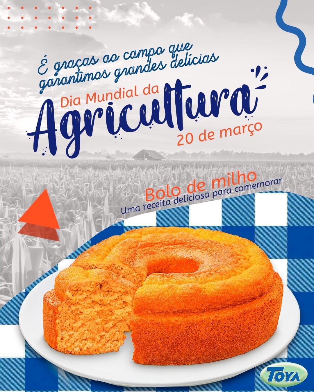 Bolo de milho – Uma receita deliciosa para comemorar